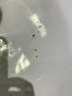 康佳（KONKA）超声波洁牙器机洗牙结石清除牙齿冲洗神器去黄牙结石污垢清洁烟茶渍菌斑打磨工具医用在家便携电动 实拍图