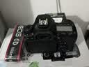 佳能（Canon）EOS 6D Mark II 单机身+佳能（Canon）EF 50mm f/1.8 STM 实拍图