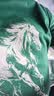 【京东直采】重磅纯棉 圆领短袖男款t恤衣服女士t恤服装真5折专场 墨绿（短袖） M （95-110斤） 实拍图