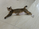 天堂伞 防紫外线晴雨伞长柄 半自动超大10骨加固商务伞 黑色 实拍图
