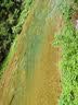 兰蔻大粉水400ml补水爽肤水保湿滋润护肤护肤品化妆品礼盒生日礼物 实拍图