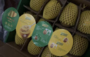 佳沛（zespri）新西兰 阳光金奇异果12粒特大果单果124-146g 猕猴桃水果礼盒 实拍图