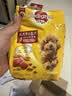宝路狗粮 成犬全价粮 中小型犬泰迪茶杯犬柯基 牛肉味 500g 实拍图