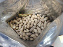 京东京造蒜香花生420g 48h足烘花生 带壳炒制干果零食量贩 下酒菜解馋  实拍图