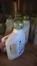 威露士La自然清新威露士洗衣液西柚白影（茉莉）2.25L 实拍图