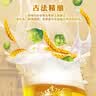 青岛啤酒（TsingTao）精酿全麦白啤 浓郁麦香古法酿造500ml*12罐 实拍图