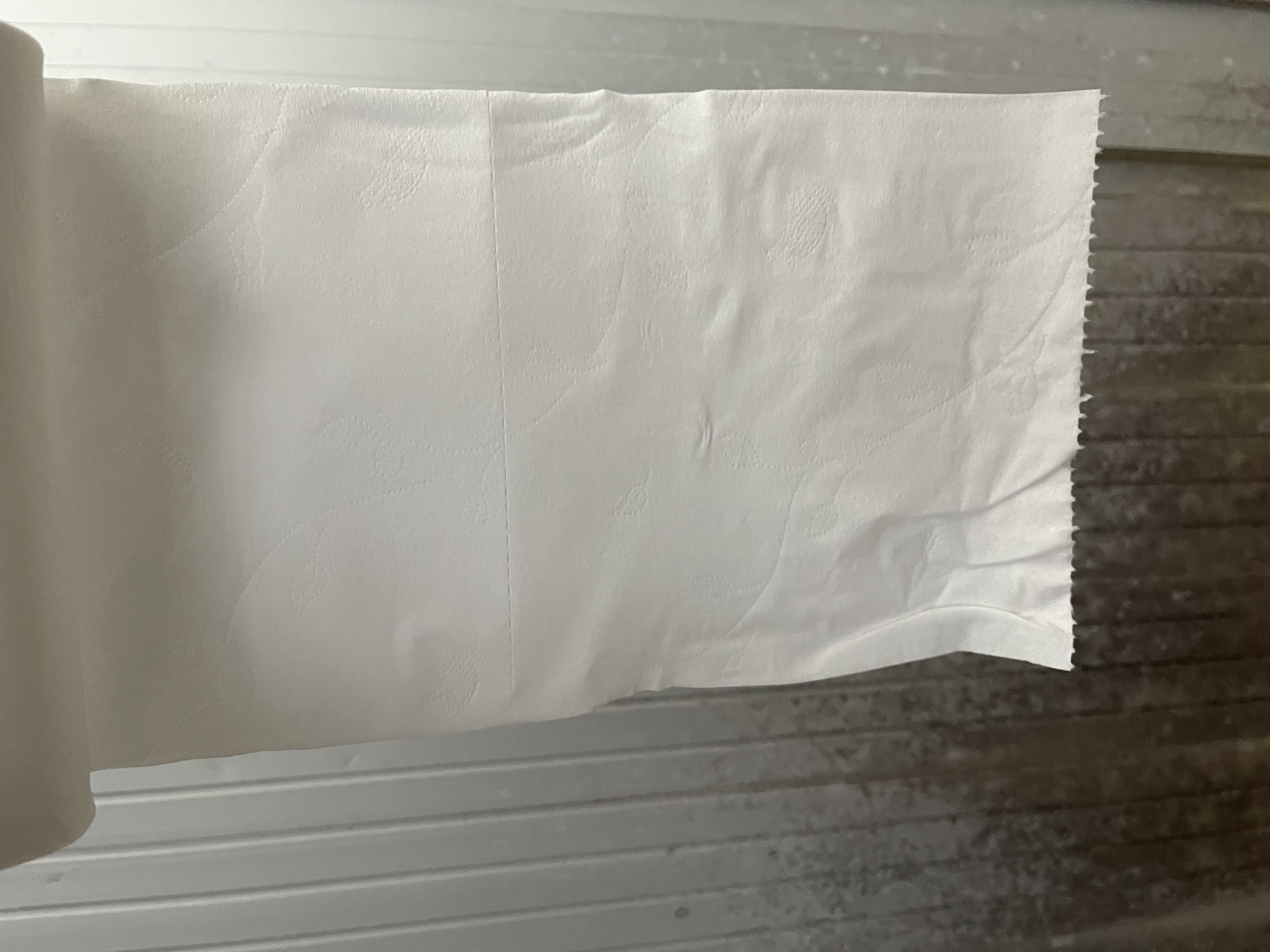 心相印无芯卷纸 茶语丝享4层140g*12卷柔厚亲肤 可冲散卫生纸(新老交替) 实拍图