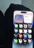 苹果14promax【512G抄底抢购】手机Apple 苹果iphone14promax 国行5G 二手手机【24期免息】 暗夜紫色 【85%用户选择】 【99新】256G【性能/性价比推荐】3期免息 实拍图