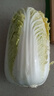 三宝白菜约650g(大娃娃菜) 实拍图