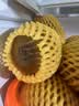 佳沛（zespri）新西兰阳光金奇异果18粒礼盒优选果单果103-124g 猕猴桃水果礼盒 实拍图