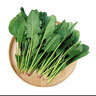 大菠菜300g 实拍图