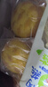 七鲜私厨港式爆浆芝士菠萝包480g4个早餐面包蛋糕儿童零食方便速食 实拍图