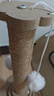 皇佳宠猫抓柱猫抓板耐磨剑麻猫咪爪小猫玩具逗猫转盘自嗨解闷猫爬架一体 实拍图