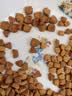 皇家猫粮 波斯成猫粮 P30 通用粮 12月以上 2KG 实拍图