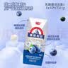 光明莫斯利安蓝莓味酸奶200g*24盒营养早餐酸奶整箱送礼京东自营 实拍图