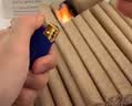 KOOGIS艾草香薰棒艾叶条+杀蚊烟片防基孔肯雅热驱蚊香薰水蚊香蚊子神器 实拍图
