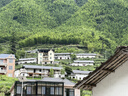 361°泳帽女款加大护耳长发游泳帽不勒头舒适防水硅胶成人泳帽 实拍图