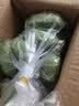 京喜加新鲜小米蕉广东香蕉水果迷你香蕉青皮米蕉粉蕉孕妇翕果11 小米蕉带箱5斤净重4.5斤 实拍图