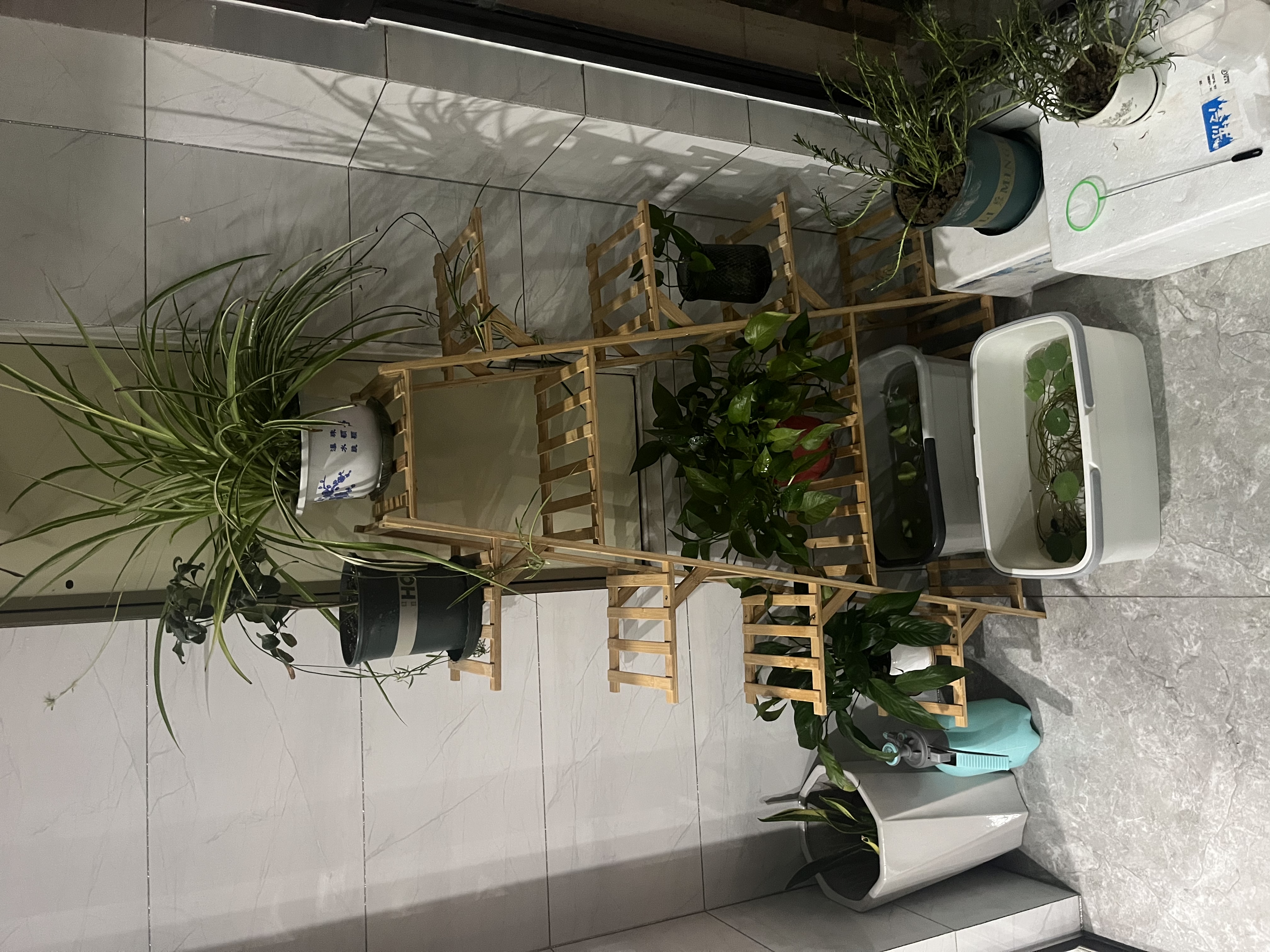 丝竹阁花架置物架阳台落地式创意客厅多肉实木多层网红花盆靠墙绿萝架子 A字原色12层 实拍图