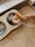 麦富迪猫粮三文鱼油幼猫粮10kg天然营养布偶猫咪实惠装 实拍图