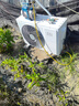 小米空调  巨省电 1.5匹挂机 一级能效 外机单排铜管 KFR-35GW/N1A1【整机免费十年包修】 实拍图