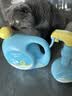 星帮尼次氯酸消毒液宠物猫咪专用除菌养猫家庭室内家用狗狗猫藓杀菌喷雾 实拍图