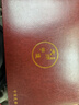 讲茗堂999鎏银功夫茶具套装送礼物品高档领导长辈退休乔迁升职男士实用 10头世外桃源（茶壶）-次日达 实拍图