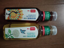 农夫山泉东方树叶菊花普洱500ml*15瓶无糖茶饮料0糖0脂0卡饮品整箱装 实拍图