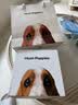 暇步士（Hush Puppies）皮带男自动扣牛皮男士腰带高端礼盒装七夕礼物送男朋友 实拍图