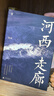 河西走廊  文津奖提名作者、“单向街书店文学奖”得主胡成最新力作  实拍图
