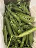 中鲜生 云南新鲜豌豆 甜豌豆新鲜蔬菜现摘豆角 净重4.5斤【好划算】鲜嫩饱满 实拍图