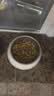皇家GI32猫粮GIM35猫腹泻呕吐便血胃肠炎GIK35成幼猫肠道处方粮配方粮 GI32成猫肠道处方粮 1.5kg*1包 实拍图