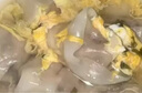三全上海风味大馅馄饨菜肉口味500g*2袋80只小云吞抄手儿童 实拍图