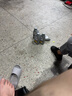 美孚（Mobil）全合成汽机油 0W-20 SP级1L纵驰JD7汽车保养京东养车京东自营 实拍图