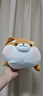 名创优品（MINISO）趣味阿柴弹力超柔趴姿公仔毛绒玩偶儿童玩具抱枕靠枕生日礼物女 实拍图