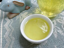 兰华溪安溪铁观音茶清香型特级2026新茶高山兰花香茶叶礼罐装 【尝鲜装】一罐250g 特级铁观音-自饮送礼皆宜 实拍图