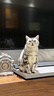 卫仕（NOURSE）猫多维魔方冻干猫咪日常所需复合维生素营养乳铁蛋白高免营养片 基础款猫多维240片*2瓶 实拍图