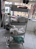 佳帮手小推车置物架厨房宿舍零食多功能移动夹缝收纳架书包架子4层白色 实拍图