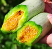 京鲜生 山东头茬羊角蜜甜瓜 净重3斤 单果300g+ 生鲜水果源头直发 实拍图