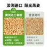 苏泊尔（SUPOR）1500W大功率多功能锅电饼铛家用加大烙饼锅不粘锅早餐机煎烤机电火锅 60mmJT30A818-N 实拍图
