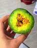 京鲜生 山东羊角蜜甜瓜 净重1斤 1-2个装 单果300g+ 生鲜水果源头直发 实拍图