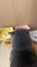 冠能猫粮成猫猫粮三文鱼味2.5kg 全价猫粮 稳固免疫 适口性强 实拍图