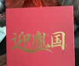迎胤国正宗海南黄花梨手串男高端原木收藏级礼品手把件手串念珠文玩12mm 实拍图