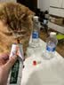 南孚5号电池8粒加菲猫联名聚能环5代 适用血压计/燃气表/遥控器/电子秤/挂钟/无线鼠标 实拍图