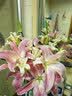 京东鲜花AB级20朵随机色百合鲜花节日礼物送女友送爱人源头直发 实拍图