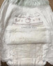 babycare金山茶花拉拉裤XXXXL26片(＞19kg)婴儿尿不湿超薄透气轻柔花苞裤 实拍图