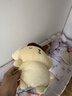 澳贝（auby）婴幼儿玩具布丁狗安抚玩偶新生儿可啃咬毛绒手偶满月礼物宝宝哄睡 实拍图