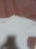 唐狮男女童短袖T恤纯棉夏装上衣儿童白t打底衫多色可选 白色 150 实拍图