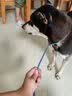 XCHO宠物项圈P型P绳P链狗狗项圈遛狗小中大型犬防爆冲训练 可调节70cm 实拍图
