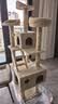 华元宠具（hoopet）猫爬架超大型猫窝猫树一体特大号猫爬柱猫架子猫玩具用品猫咪别墅 实拍图